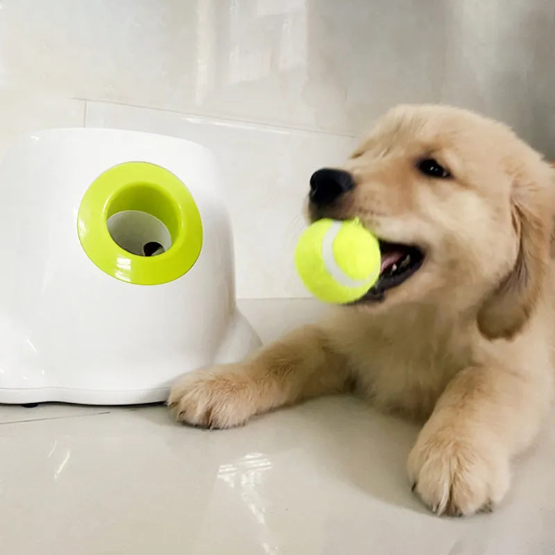 Automatic Doggy Ball Launcher