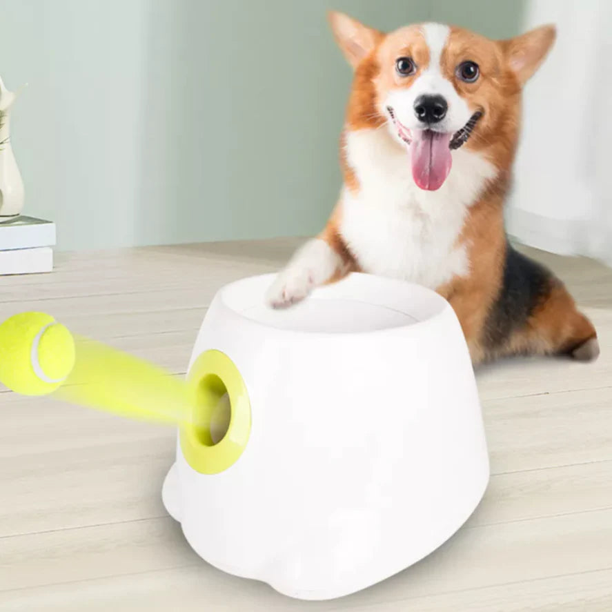 Automatic Doggy Ball Launcher